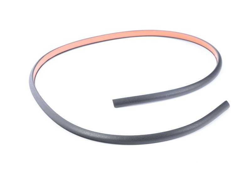 Junta trasera cristal techo panorámico OEM 54107304488 para BMW X3 F25. Recambio original BMW.
