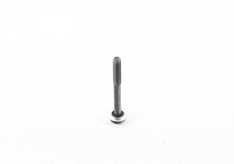 Tornillo Torx con junta OEM 24317588743 para BMW E81, E82, E87, E88, E90, E91, E92, E93, E60, E61, E63, E64, E65, E66, F01, F02, E84, E83, E53, E70, E71, E85, E86, E89. Original BMW.