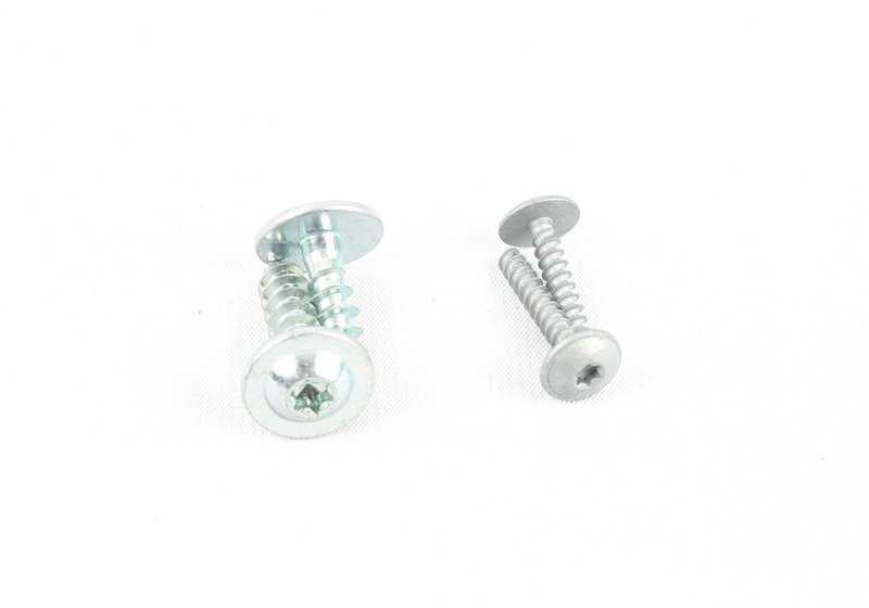 Asa tira puerta derecha OEM 51417225856 para BMW F10, F11, F18. Color gris Everest. Original BMW.