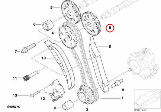 Engrenagem da árvore de cames OEM 11317788741 para BMW E46, E60, E61, E65, E83, E53. BMW genuíno.