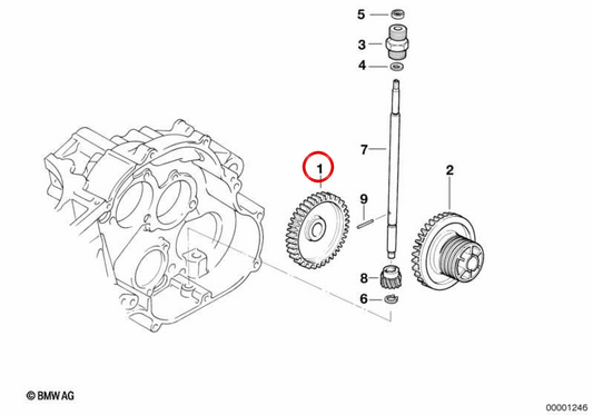 Ruota OEM dentada 11412343110 per la BMW F 650 motociclette, F 650 ST, F 650 GS Dakar, G 650 X ... e altro. BMW MOTORAD originale.