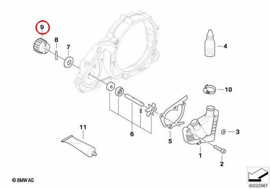 Pignon d'entraînement à 15 dents OEM 11517700216 pour motos BMW G 650 GS, G 650 GS Sertão et G 650 X. Original BMW Motorrad