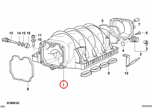 OEM -Zulassungsrohr 11611729528 für BMW E34, E39, E32, E38, E31, E53, E52. Original BMW.