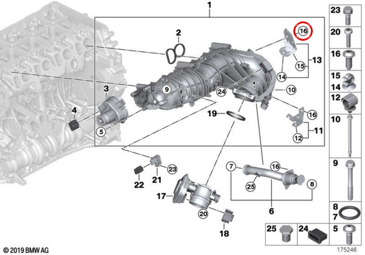 Tornillo de cabeza avellanada OEM 11617807684 para BMW E81, E82, E87, E88, E90, E91, E92, E93, E60, E61, E84, E83. Original BMW.