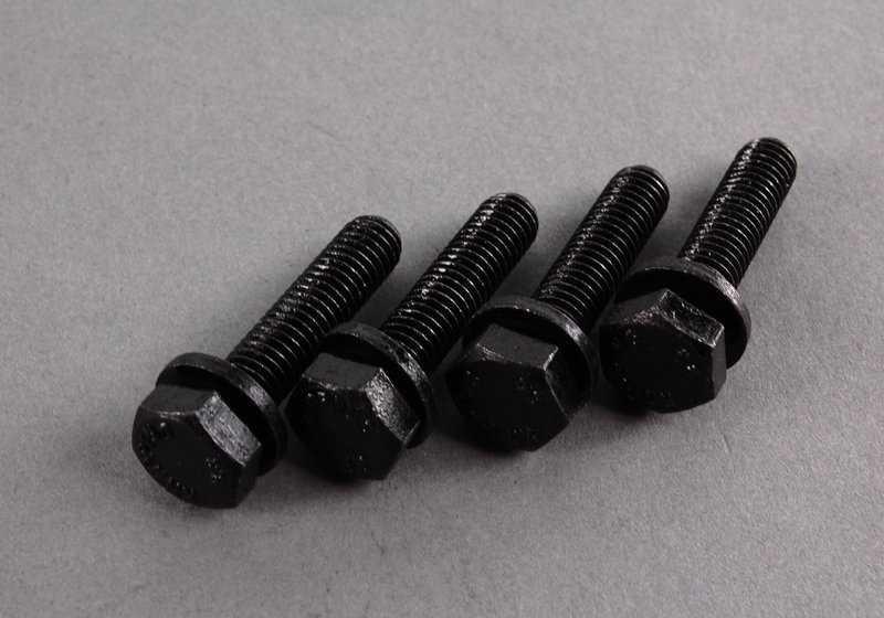 Juego de tapas finales para BMW E36, E46, E39, E60, E61, E38, E65, E66, E83, E53, E85 (OEM 11141438274). Original BMW