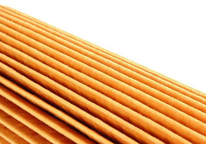 Filtro de aceite OEM 11427788460 para BMW E46, E90, E91, E92, E93, E60, E61, E63, E64, E65, E66, E83, E53, E70, E71. Repuesto original BMW.