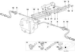 Latiguillo de freno trasero OEM 34321164250 para BMW Serie 5 E39 520i, 523i... y más. Original BMW.