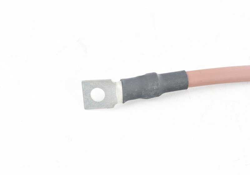 Massenkabel des Generators für BMW X5 E53 (OEM 12421438941). Original BMW.