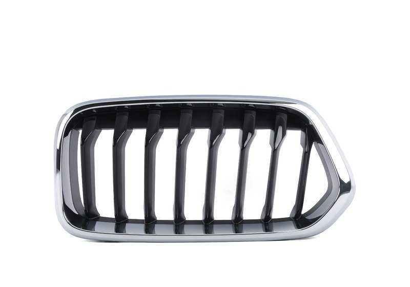 Linkes Vorderraster für BMW F39 (OEM 51137424777). Original BMW