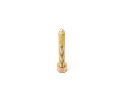 M6X40 OEM 17111460581 Parafuso cilíndrico para BMW Motorrad K100, K75, K100 RS ... e muito mais. BMW Motorrad original.