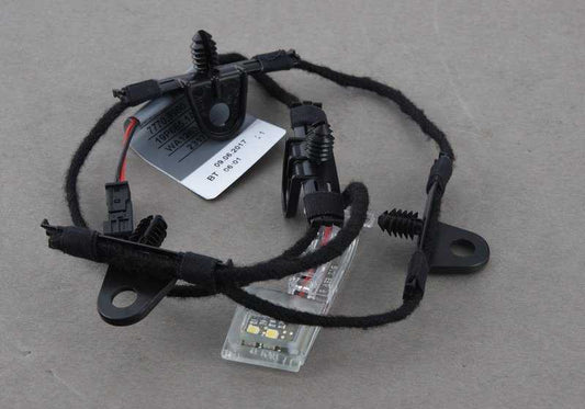 Luz LED para a alça da porta direita OEM 63317184362 para BMW E82, E88. BMW original.