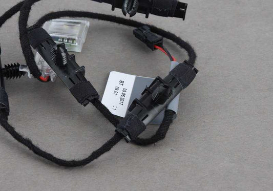 Luz LED para a alça da porta direita OEM 63317184362 para BMW E82, E88. BMW original.