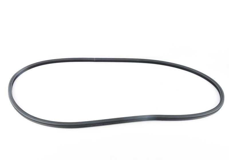 Protector de borde puerta trasera OEM 51727278504 para BMW F10 y F10N. Original BMW.