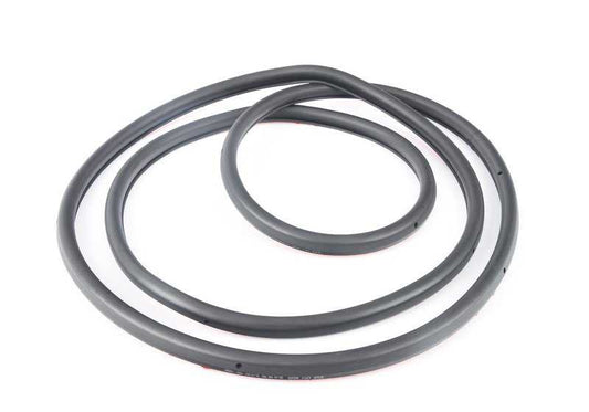 Junta de puerta trasera derecha OEM 51229070562 para BMW E39 {520d, 520i} todos los modelos compatibles. Original BMW.