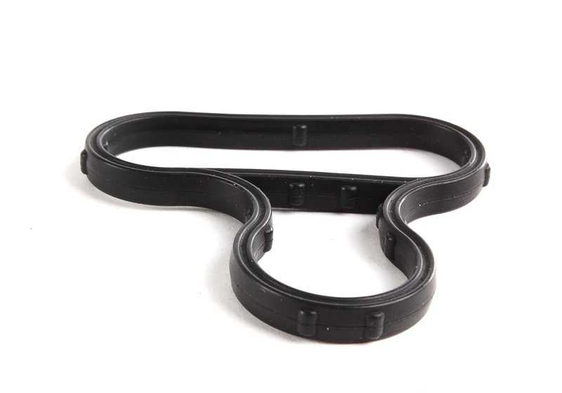 Scheda per BMW 5 E60 Series, E61 Series 6 E63, E64 Series 7 E65, E66 X5 E53, E70 (OEM 12317507808). BMW originale