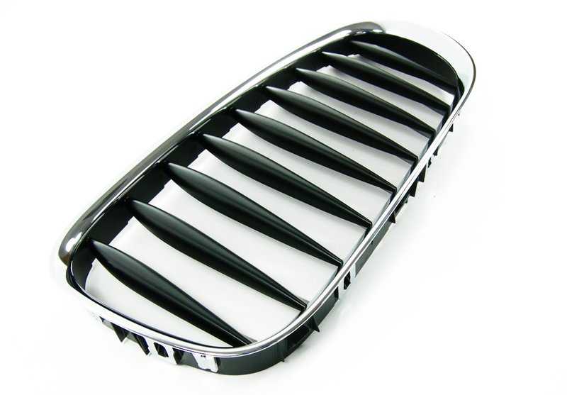 Grilhas dianteiras, Riñoneras para BMW Z4 E85, E86 ,. BMW original.