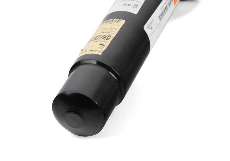Amortiguador delantero OEM 31316873801 para BMW F30, F31, F32, F33, F34, F36. Original BMW.