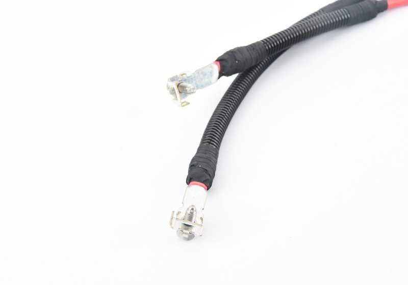 Cable set for BMW 5 Series F10, F11 and 6 Series F06, F12, F13 (OEM 61129233748). Original BMW.