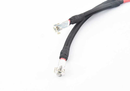 Cable set for BMW 5 Series F10, F11 and 6 Series F06, F12, F13 (OEM 61129233748). Original BMW.