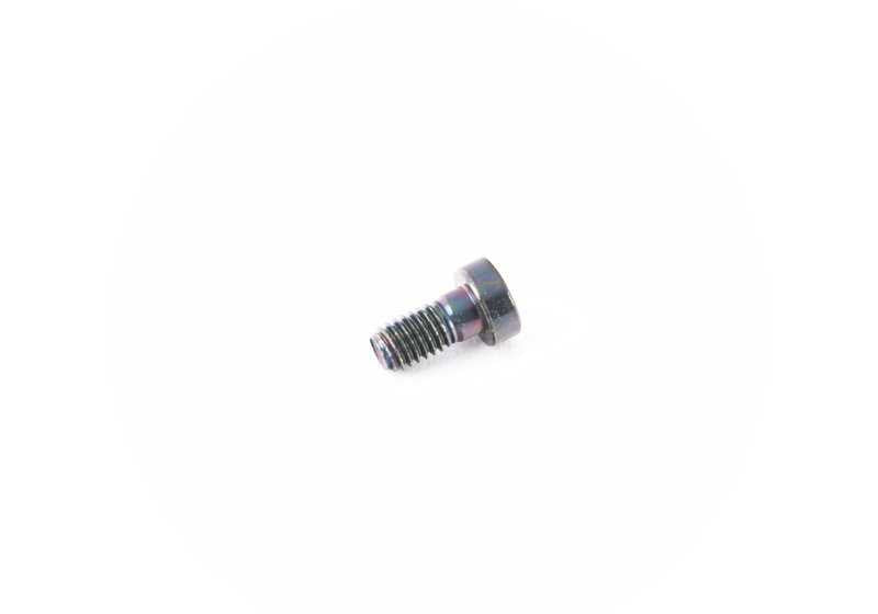 Tornillo de cilindro OEM 07119920069 para BMW E21, E30, E12, E28, E24, E23, E32, E38, E31. Original BMW.