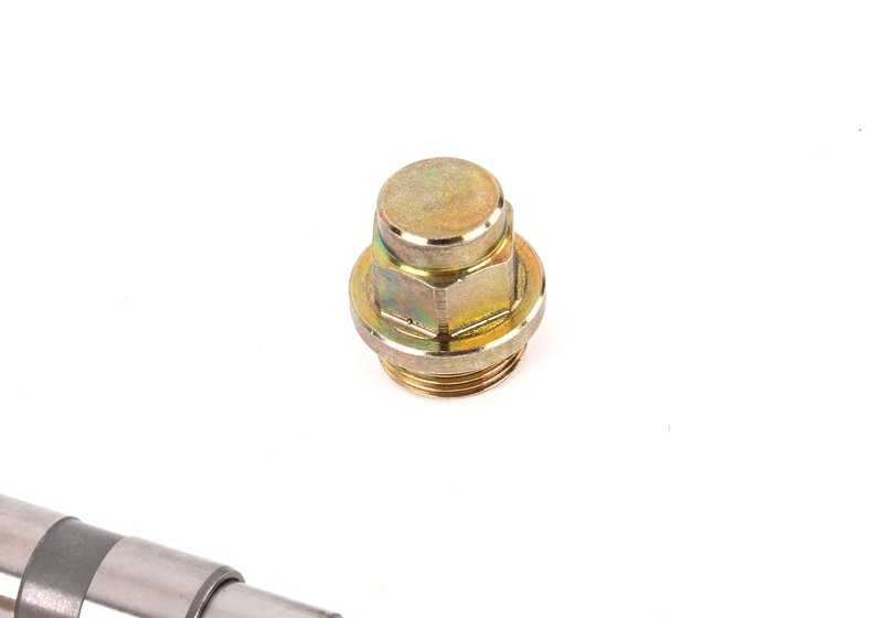 Tensor de cadena de distribución OEM 11311406261 para BMW E39 M5 y Z8 E52 con motor S62. Original BMW.