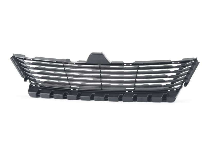 Zentrallufteingangsnetz 51117304057 für BMW F06, F12, F13, F01, F02. Original BMW Stück.