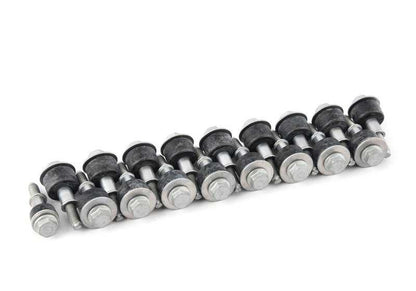 Juego fijaciones exteriores OEM 11120036235 para BMW E46, E90, E91, E92, E93, E39, E60, E61, E63, E64, E38, E65, E66, E83, E53, E70, E71. Original BMW.