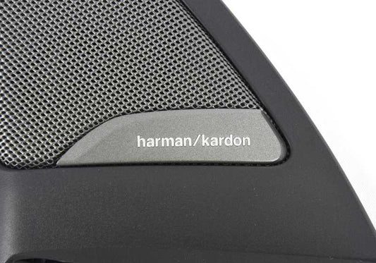 Moldura de esquina puerta delantera izquierda para BMW F98, G02 (OEM 51339476949). Original BMW