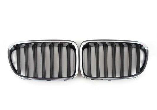 Rejilla decorativa frontal OEM 51117347667 para BMW E84. Original BMW.