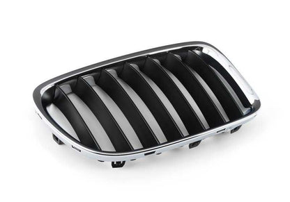 OEM 5117347667 grade decorativa frontal para BMW E84. BMW original.
