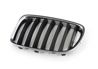 OEM 5117347667 grade decorativa frontal para BMW E84. BMW original.