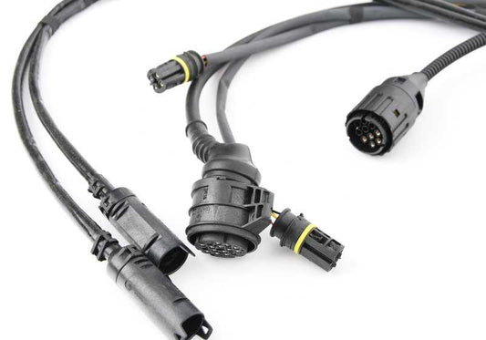 Cableado motor y módulo de transmisión OEM 12517506793 para BMW E46 320Ci (M54, manual y automático) años 2000-2006. Compatible con versiones BD11, BD12, BD21, BD22, BN11, BN12, BN21, BN22, BS11, BS12. Original BMW.