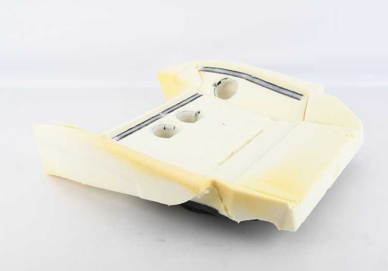 Clima attivo di comfort Parte di schiuma per BMW 5 F07N Series, F10N, F11N, F18N, 7 F01N Series, F02N (OEM 52107310126). BMW originale.