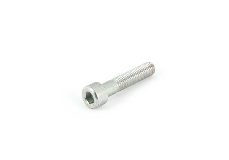 Tornillo M8x21 T40 OEM 52108099039 para BMW E81 (116d, 116i) compatible con asientos delanteros. Original BMW.
