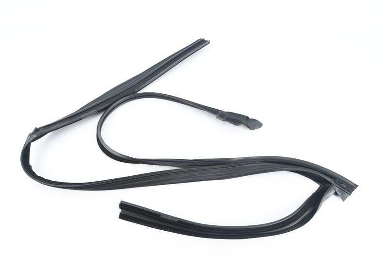 Guida alla finestra sinistra per la BMW 7 G11, G12 (OEM 51339481271). BMW originale
