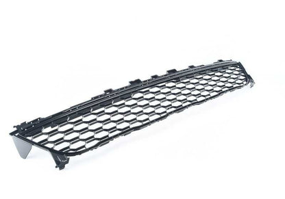Lower Central Grid OEM 51118069887 for BMW X7 G07 (XDRive30D, XDRIVE40D, XDRIVE40I, XDRIVE50I, XDRIVERM50D, XDRIVERM50I). Original BMW.