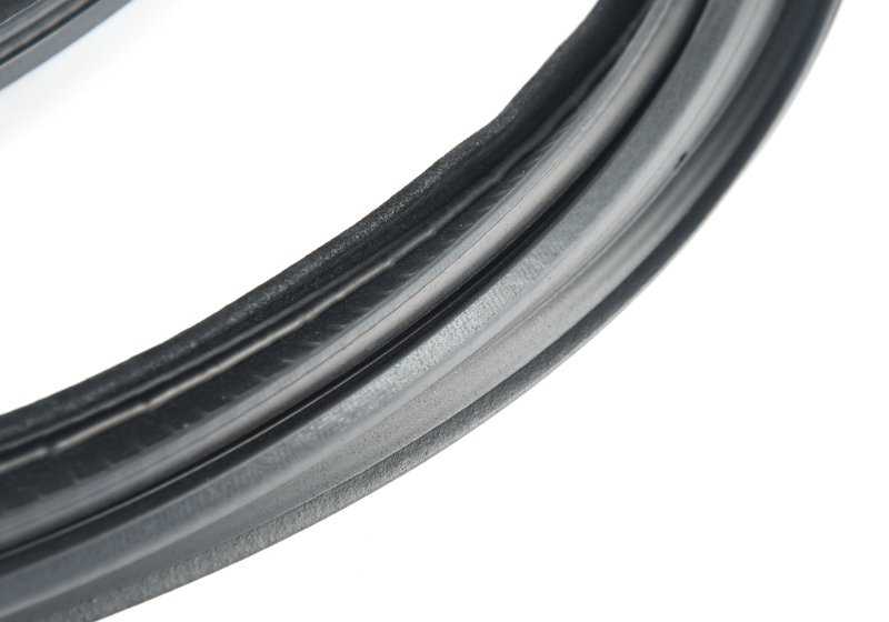 Junta de puerta delantera derecha OEM 51767385026 para BMW F34 y F34N. Original BMW.