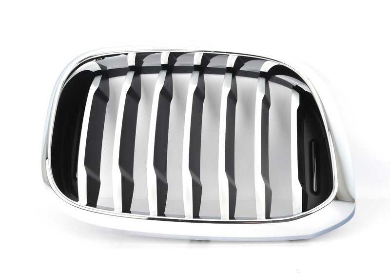 Rejilla embellecedora delantera derecha OEM 51137478670 para BMW X3 G01 y X4 G02. Compatible con versiones sDrive18d, xDrive20d. Original BMW.