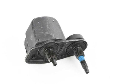 Porte arrière gauche pour BMW F26 (OEM 51247342899). BMW d'origine
