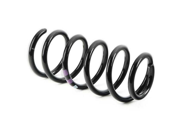 Muelle trasero de suspensión OEM 33536772780 para MINI R55, R56, R57, R58, R59, R60, R61. Original MINI.