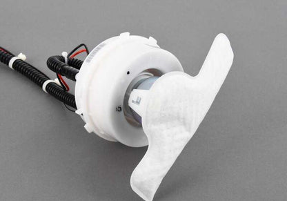 Bomba de combustible OEM 16117434205 para BMW F07, F10 y F11 (modelos 520i, 523i, 528i). Original BMW.