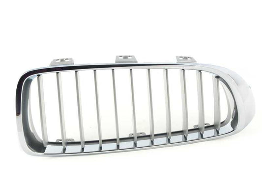 Decorative grille OEM 51137294820 for BMW 4 Series F32, F33, F36. Original BMW.