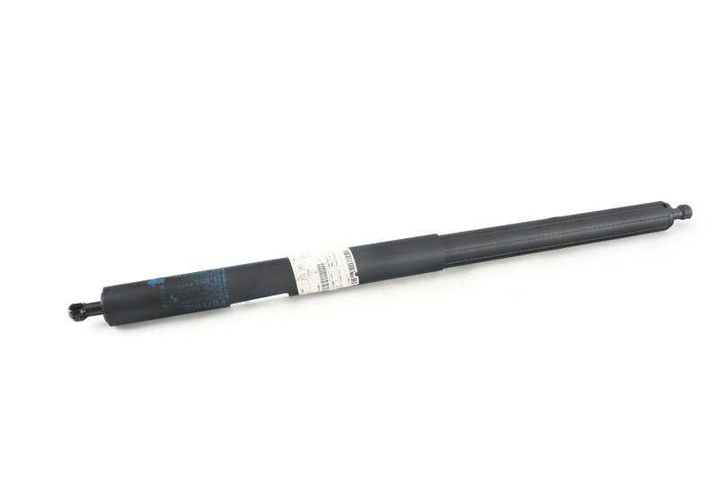 Soporte hidráulico maletero OEM 51247201545 para BMW F07 (520d, 528i, 530d) todos los modelos compatibles. Original BMW.