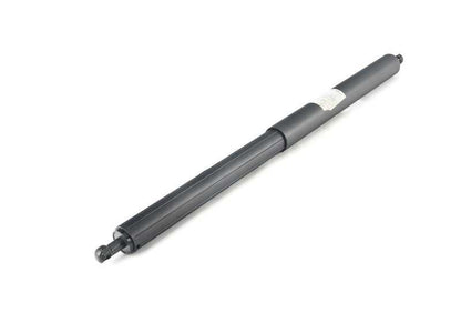 Soporte hidráulico maletero OEM 51247201545 para BMW F07 (520d, 528i, 530d) todos los modelos compatibles. Original BMW.
