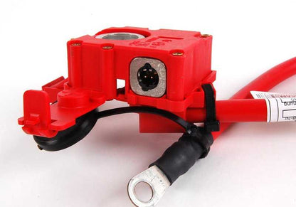Câble de batterie positif OEM 61129217031 pour BMW E82, E88, E90, E91, E92, E84. BMW d'origine.