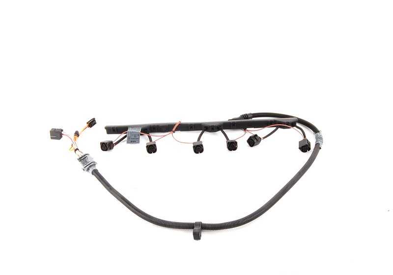 Cableado del motor para módulo de encendido OEM 12517551905 para BMW Z4 E85. Original BMW.