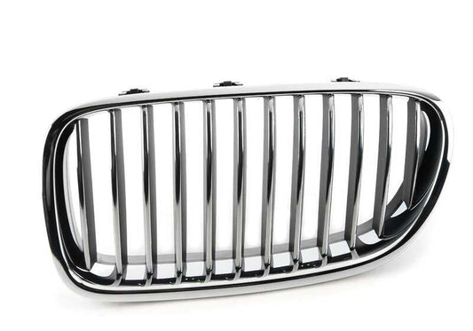 Front left decorative grille for BMW 5 Series F10, F11, F18 (OEM 51137203649). Original BMW