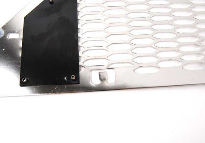 Rejilla decorativa OEM 51116800138 para MINI R50, R52, R53. Compatible con modelos desde 2000. Original MINI.