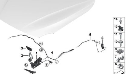 Cable Capó OEM 51237411315 for BMW F20, F21, F87, F30, F31, F34, F80, F32, F33, F36, F82, F83. Original BMW.