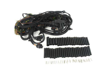 Cableado de reparación puerta delantera derecha OEM 61115A0A334 para BMW X6 G06. Original BMW.